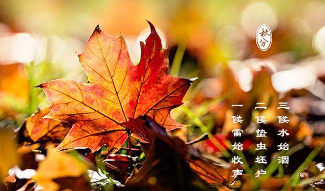 秋分吃什么傳統食物？8種傳統食物不要錯過