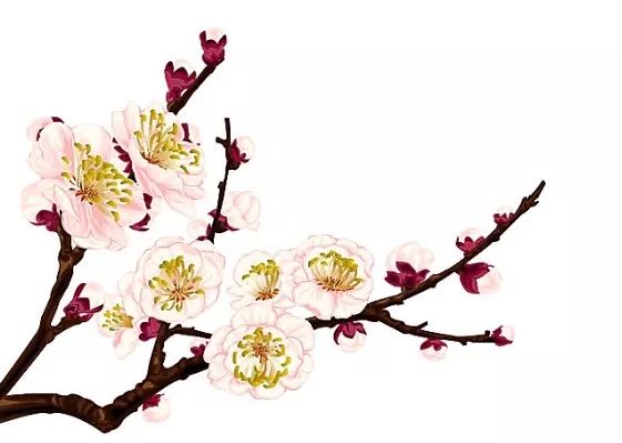 二十四節氣順時養生法