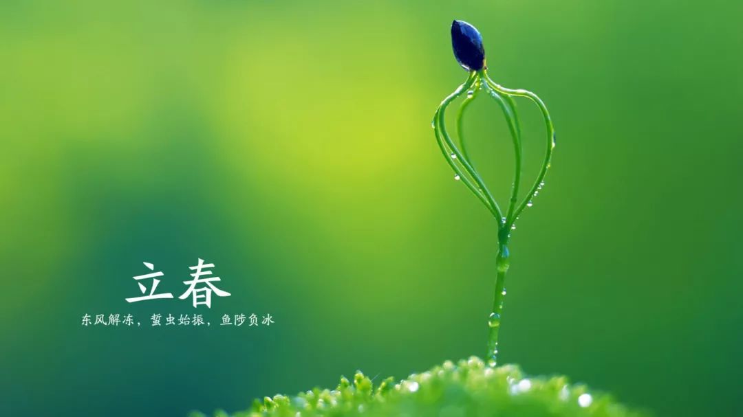 24節氣立夏養生_24節氣立夏養生_24節氣立夏養生