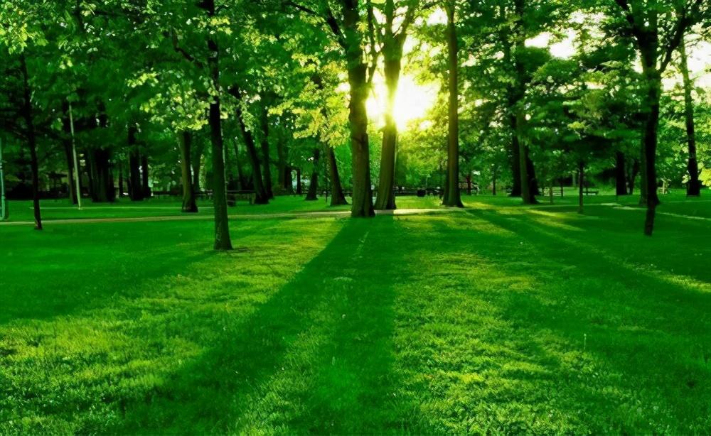 春季養(yǎng)生排毒話術(shù)_春天怎么養(yǎng)生排毒_春季養(yǎng)生排毒的重要性