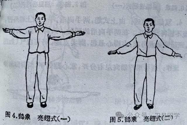 道家秘傳養(yǎng)生功法_《道家養(yǎng)生功》_道家養(yǎng)生功法集