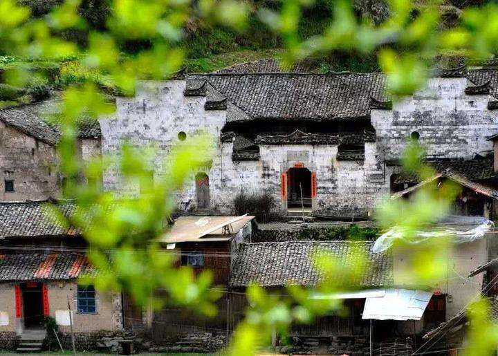拂塵養生_養生拂塵全套背向演練_養生拂塵36式背面教學