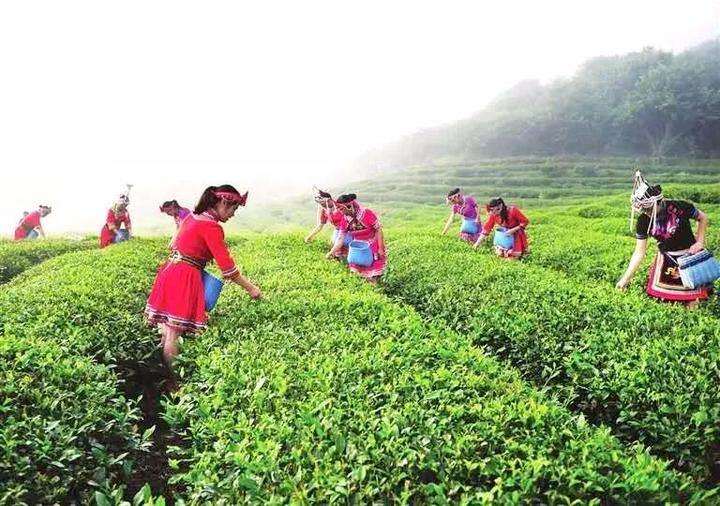 養生拂塵36式背面教學_養生拂塵全套背向演練_拂塵養生